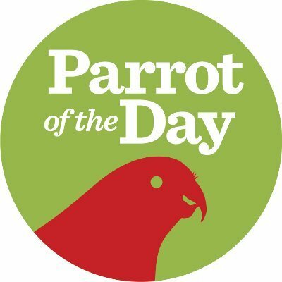 parrotoftheday@ecoevo.social