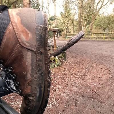 naturepunk@ecoevo.social