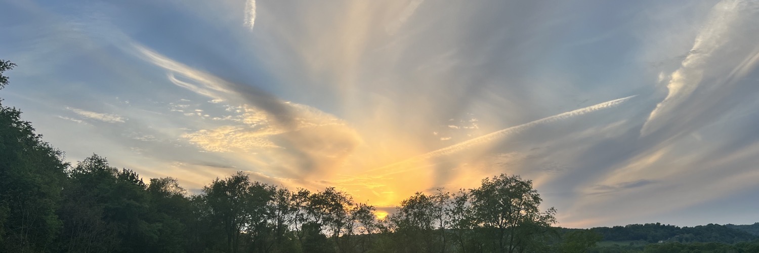 Header Image