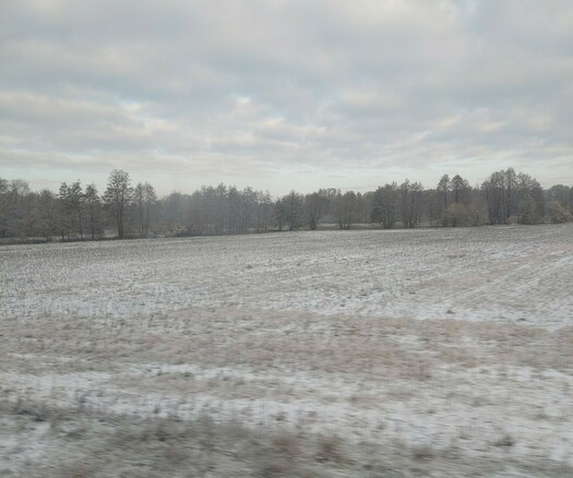 Winter landscape with snowy field in the front and treeline in the back. Cloudy sky above. Picture taken from moving train, so you see some blur and light reflections.