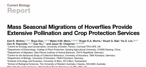 Title of the paper published in Current Biology: Mass Seasonal Migrations of Hoverflies Provide Extensive Pollination and Crop Protection Services.