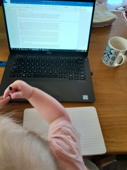 Laptop open on a table with a grant application on screen and a cup of tea nearby. A baby sits on the writer's lap with a notepad and pencil.