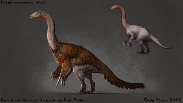 Digital drawing of a Therizinosaurus with feathers and a smaller drawing without feathers to show the underlying skin. Proportions based on skeletal diagram by Dan Folkes. Art by Emily Stepp 2022.