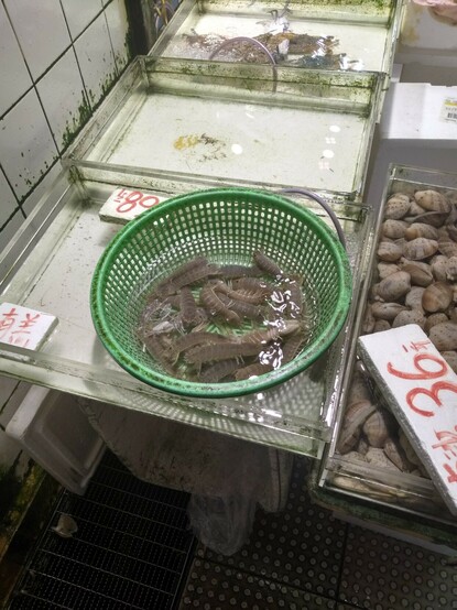 Mantis shrimp for eating in Hong Kong