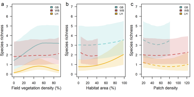 Predicted responses of the species richness of ground beetles (GB), wild bees (WB, including A. mellifera) and leafhoppers (LH) to vegetation density (%) (a), habitat area (%; percentage of landscape PLAND, measured at the 50 m scale for GB, 100 m scale for LH and 500 m scale for WB; b) and patch density (PD per 100 ha) at the 450 m scale (c). The lines represent the median posterior estimates. Continuous lines indicate substantial (>95%) posterior support and dashed lines <95% posterior support. Coloured areas show the credible intervals around the predicted means. Predictions are limited to the range of observed values per gradient and insect group, which is why ground wild bee predictions are lacking for habitat area >40% and beetle predictions are lacking for patch density >80.
