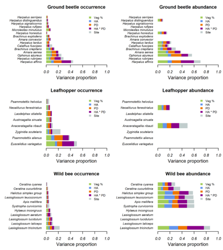 Variance partitioning among the explanatory variables (Veg % = ground vegetation density, HA = habitat area, PD = patch density) included in the models for the three insect groups (ground beetles a, b; leafhoppers c, d; wild bees e, f). The panels on the left show the results for the presence–absence models and the panels on the right for the abundance models. In both sides, the lengths of the bars correspond to the explanatory power achieved for each species, measured by Tjur R2 for the presence–absence and R2 for the abundance model. The species are ordered by increasing explanatory power.