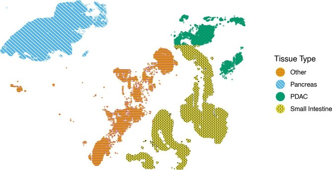 Figure demonstrating output from scatterHatch.

Quoted text from figure heading in paper: "scatterHatch enables users to customize patterns. Spatial scatterHatch plot of the PDAC data set showing four tissue regions using customized patterns with a custom line type (PDAC), custom line colors (Other and Pancreas), and a completely new pattern (Small Intestine)."