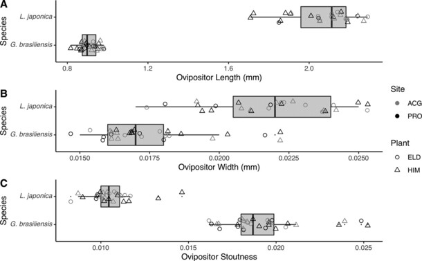 Figure 4 heading from the linked paper: "A Ovipositor length, B ovipositor width, and C ovipositor stoutness measured from representative samples of L. japonica (N=27) and G. brasiliensis (N=31) reared from D. suzukii infested fruit collected in southwestern British Columbia in 2020. Black markers represent specimens reared from fruits collected at Promontory Park, Chilliwack (PRO), while gray markers represent specimens reared from fruits collected at the Abbotsford Community Garden, Abbotsford (ACG). Circular markers represent specimens reared from collections of fresh red elderberry (Sambucus racemosa L.; ELD), while triangular markers represent specimens reared from collections of fresh Himalayan blackberry (Rubus armeniacus Focke; HIM). Vertical lines in boxes represent the first, second, and third quartiles while whiskers represent the 1.5 inter-quartile range."