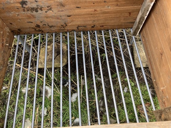 Metal bed frame with gaps between the slats. On top sits a bottomless box made of wood