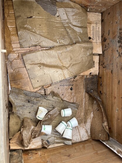 Cardboard and some compostable coffee cups lying at the bottom of a wooden box