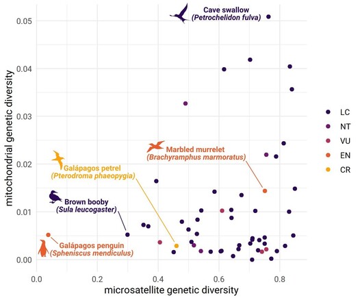 Scatterplot showing bird genetic diversity estimated from microsatellites and mitochondrial DNA are not correlated, and not related to Red List status