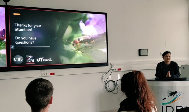 A presenter in a front of a screen.