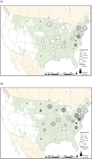 Figure 1 heading quote from preprint link: “a) Infection prevalence and b) seroprevalence of SARS-CoV-2 in white-tailed deer. Circle size indicates the relative number of samples tested and gray shading indicates the relative seroprevalence and rRT-PCR prevalence in a state. White-tailed deer distribution in the conterminous US is shown in green. White-tailed deer range data from Hanberry, Brice B.; Hanberry, Phillip. 2019. Digitized white-tailed deer densities for the continental United States. Fort Collins, CO: Forest Service Research Data Archive. https://doi.org/10.2737/RDS-2019-0053”