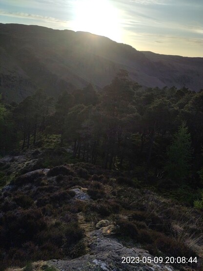 A photo of the setting sun as the Earth's rotation moves my position on the Earth, northern hemisphere,  into darkness. 

