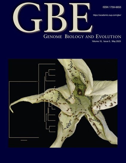 Cover of Genome Biology and Evolution showing flower-breeding Drosophila specimens interacting in one flower of Brugmansia suaveolens. DNA arrows between flies represent the horizontal transfer of transposable elements, whereas the phylogeny represents the subjacent relationships among target species. 