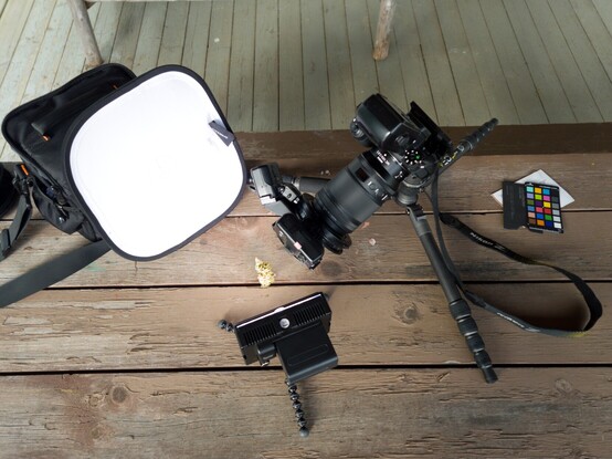 A photo of a setup for a macrophotography shoot, taken feom above. Clockwise from upper left:
- A flexible white balance target, its lighter side exposed to serve as a makeshift light bounce. It's leaning against a camera bag toward an indistinguishable object in the center.
- A camera with a macro (close-up) lens mounted on a flattened tripod. Two flash units are mounted at the front of the lens, aimed at the subject.
- Top far right is a small color balance reference card.
- Center bottom is broad, diffuse LED lamp, mounted on its tripod, low to the table and aimed at the subject.
- In the center is the subject of the next photo, just a green-gray blob at this scale.