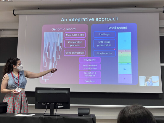Prof Jo Wolfe showing a slide of "an integrative approach" between the genomic record and the fossil record