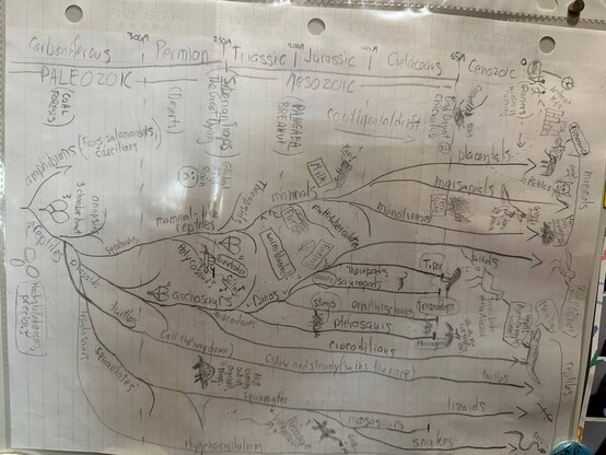 Great big phylogenetic tree of the tetrapods, hand drawn mostly from memory. Family relationships of mammals, birds,  dinosaurs, and reptile groups from Paleozoic to the present.