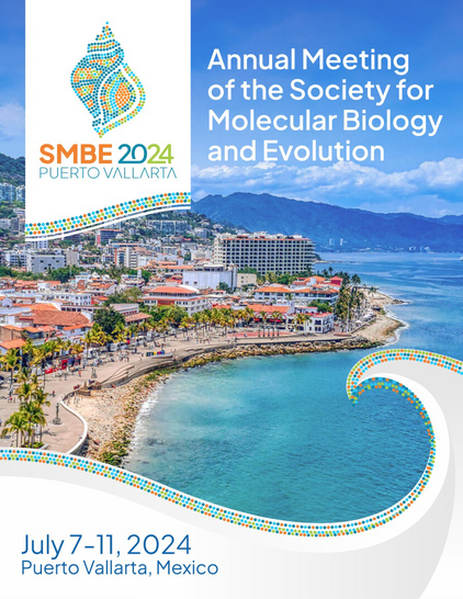 Conference flyer