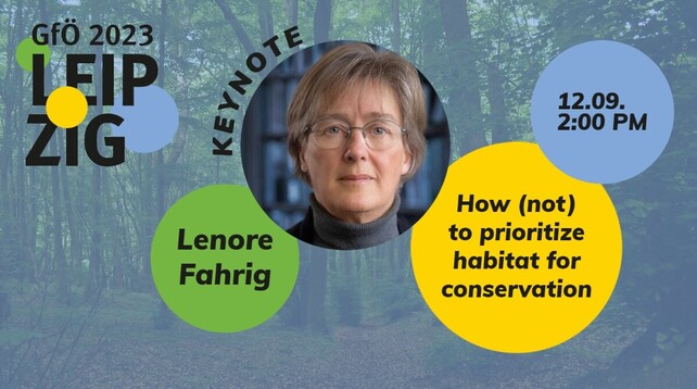 Image consists of several colorful circles against a background photo of a decidual forest with path through it, that is overlayed with a light blue filter. The circles state name of the speaker, title and date of the talk. The central circle shows a portrait of Lenore Fahrig. The Logo of the GfÖ conference in Leipzig is placed in the top left corner.