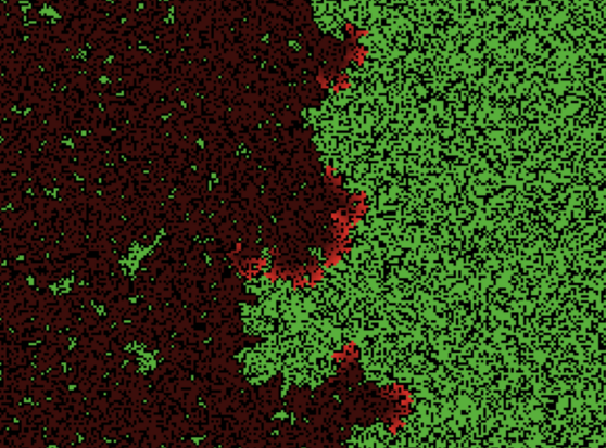 Screenshot of a NetLogo world showing an individual-based model in action. Dark pixels on the left represent already burnt trees. Red pixels in the middle represent currently burning trees. Green pixels on the right indicate healthy trees that might get burnt very soon. 
