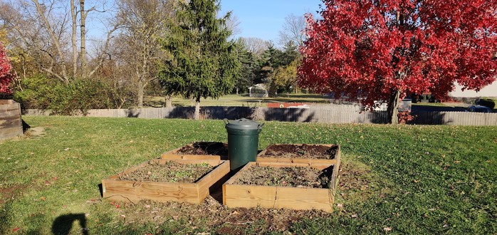 Four empty school garden beds set ready for winter crops after the fall harvest session. Trees in their fall foliage are in the background 