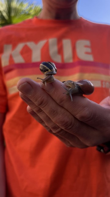 Snail in hand, in front of person wearing Kylie t-shirt