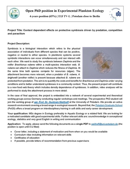 Job advertisement of the experimental position