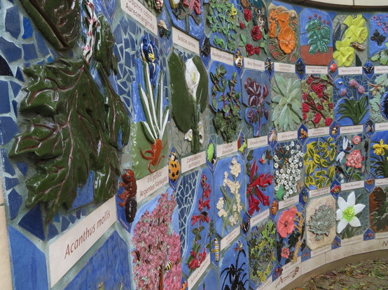 Detail of curved wall with one or two foot square bas-relief tile panels of various plants. Below each are flatter, less decorative rectangular tiles with the scientific binomial names. At the intersections of those, there are bas-relief tiles in the shapes of various insects (some larvae, some adults) that are usually related in some way to the plant species they're near. Nearest to us is Acanthus mollis, which features deeply lobed deep green leaves and a bit higher up and further away are the orange flowers of the California poppy.