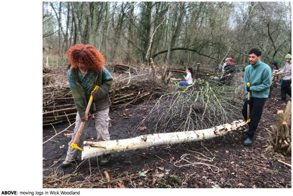 Coppicing and building dead hedges in Wick Woodland south of Hackney Marshes