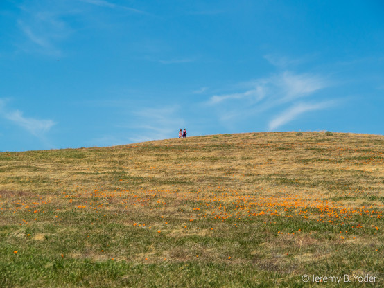Two people viewed from a distance, standing against a blue sky with wispy white clouds on the summit of a gentle hillside streaked with orange poppies and green-brown grass