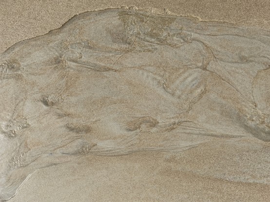 Looking down at a thin layer of seawater as it has collected between the tide and the beach. It is not flowing, rather just sitting. The fine sand makes interesting patterns and the whole pool resembles an archeological layer carefully brushed off in rock.