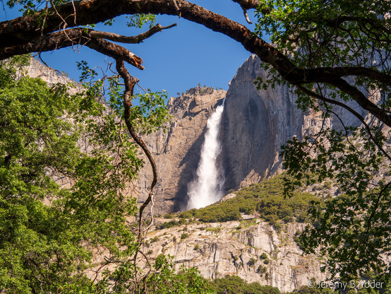 A misty waterfall down a sheer gray cliff face under a flat blue sky, framed by the arcing branch of a tree with lacy pinnately lobed leaves and dark bark