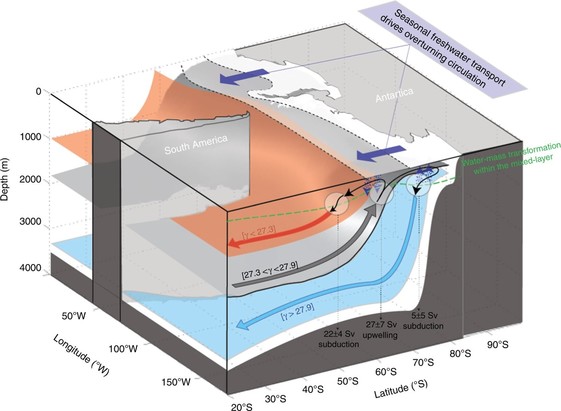 image/jpeg a diagram of deep ocean circulation in the southern ocean from Antarctica. Warm surface waters flow to the north, intermediate depth water flows south to the surface and the cold deep water forms at the surface in far south, sinks and flows along the ocean bottom to the north.
from Pellichero et al, 2018. CCA 4.0.
