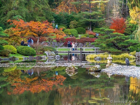 A view across a pond to a footbridge and a hillside covered in manicured shrubs and trees, many evergreen but some with bright orange, yellow, and red autumnal leaves. The colorful leaves are reflected in the still waters of the pond.