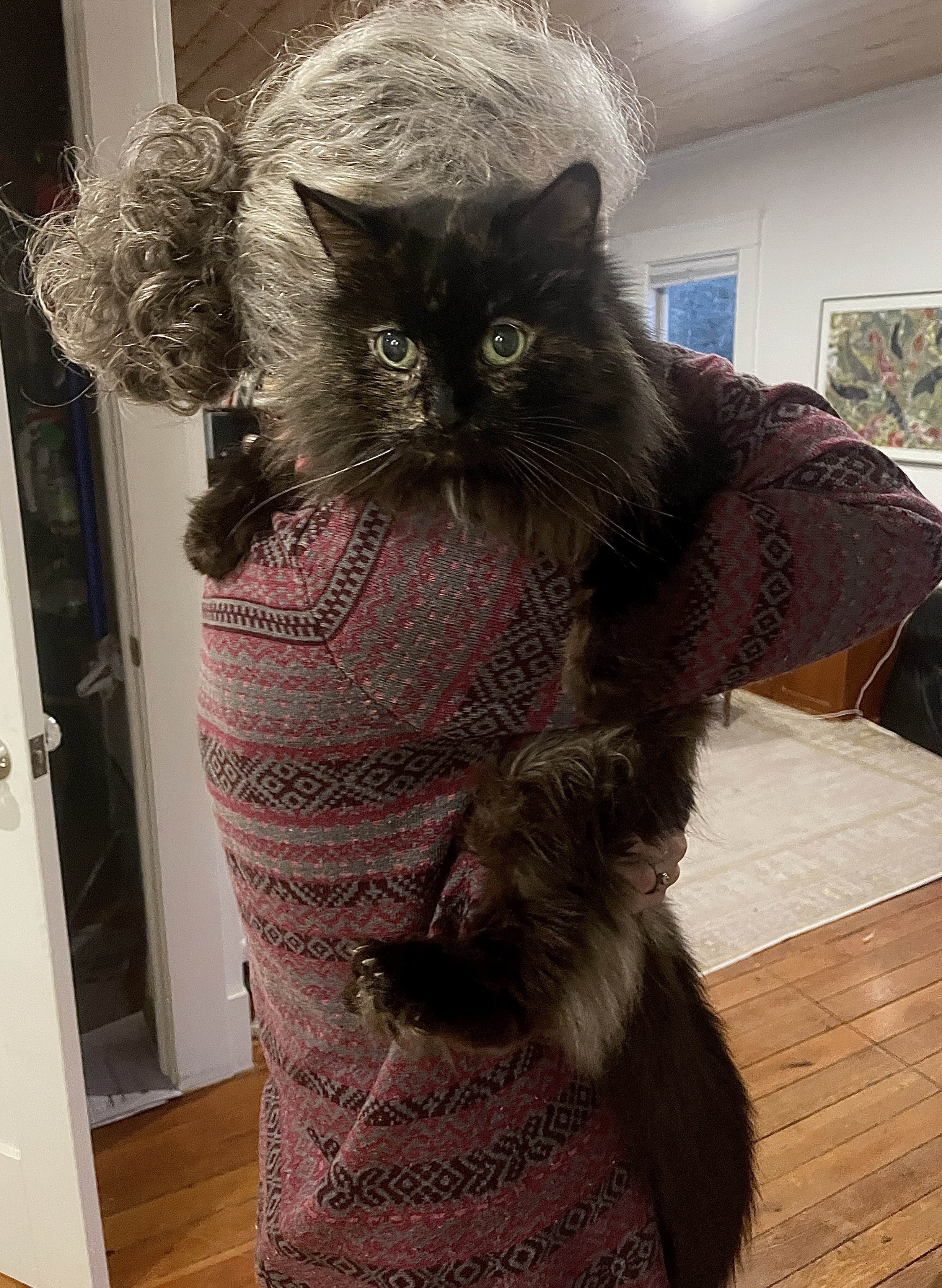 A gray haired human wearing a red and gray sweater is carrying a cat away from a dining table, which is out of frame. The cat is a senior tortie and is looking back over the woman’s shoulder toward the butter with a wide-eyed look of guilt, not of the crime, but of being caught. The cat is sort of slung over a shoulder with her head resting on the humans shoulder and her paws somewhat clinging on. So unfair. Butter should be for all.