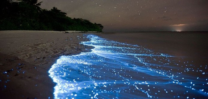 image/jpeg a glowing blue waves crashes on a tropical beach in Bonaire under a night sky. Bright intensely glowing spots in the waves appear like stars. Photo source unknown.