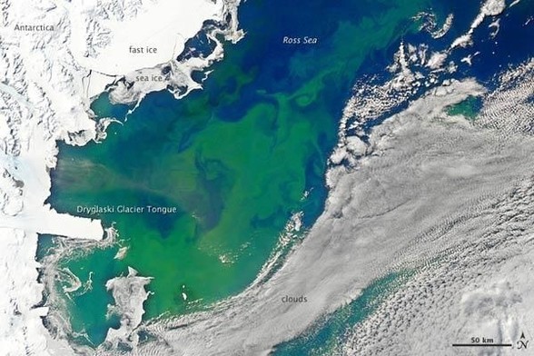image/jpeg a satellite image shows a swirling green algae bloom surrounded by the white of Antarctica in the Ross Sea. Photo from NASA, public domain.