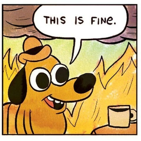image/jpeg the meme image of a cartoon dog sitting smiling in a room on fire saying "THIS IS FINE". KC Green "On Fire" 2013.